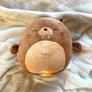 BRUCE 5” squishmallow, no tags